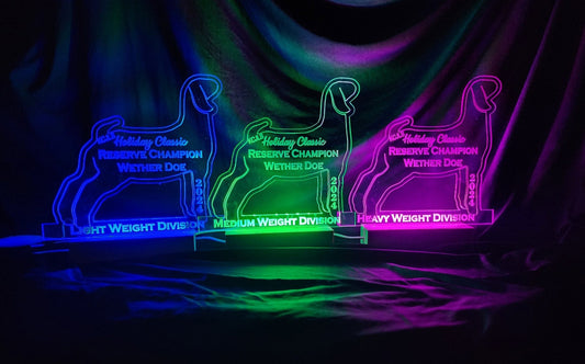 Lighted Acrylic Awards