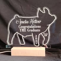 Large Lighted Acrylic Awards Wood Base