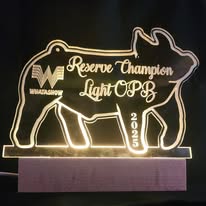 Large Lighted Acrylic Awards Wood Base
