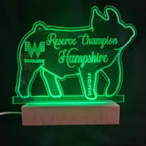 Large Lighted Acrylic Awards Wood Base