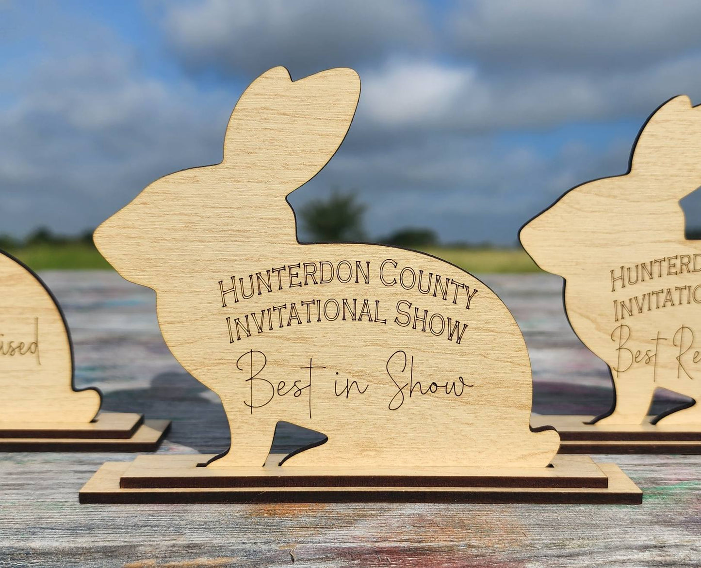 Class Winner Award, Livestock Show, Animal, Lamb, Goat, Pig, Rabbit, Steer, Heifer, Horse, Thank You, Trophy, Gift